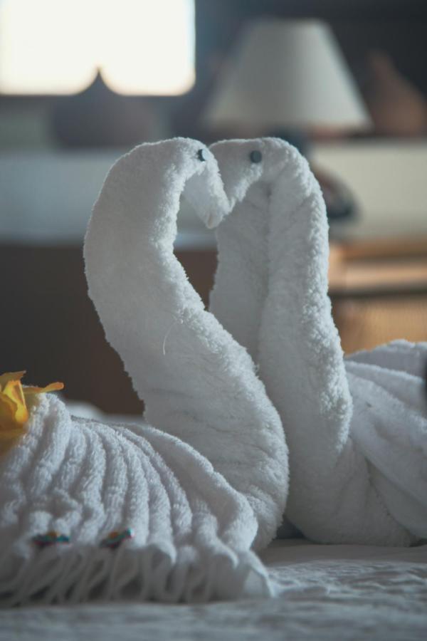 Guest house Premium Beira Mar Porto de Galinhas